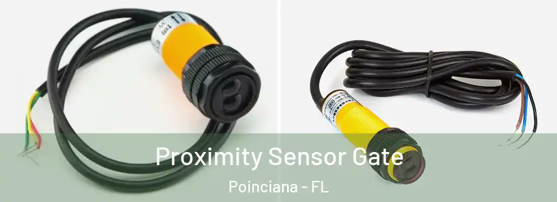 Proximity Sensor Gate Poinciana - FL